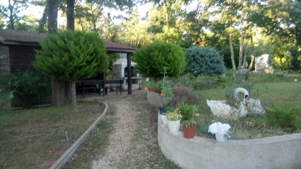 Apartment Andjel Πόρετς Εξωτερικό φωτογραφία