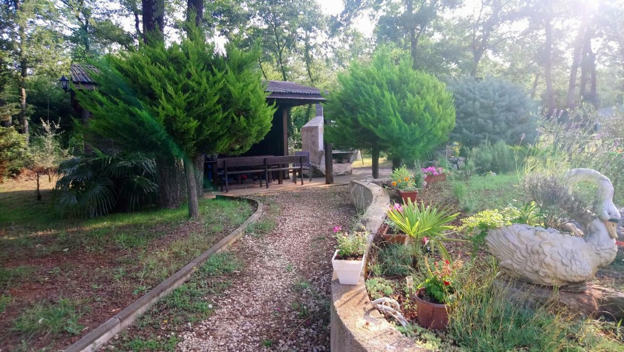 Apartment Andjel Πόρετς Εξωτερικό φωτογραφία
